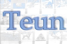 Leesplankje Teun  2…