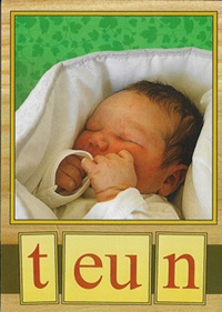 Leesplankje Teun  2…
